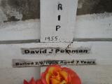 image of grave number 835283